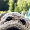 anneehrhardt0 - @anneehrhardt0 - TikTok