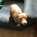 Ann Eichenlaub - Facebook