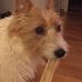 Anna Ekblad - Facebook