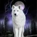 Ann Elam - Facebook