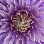 Ann Elderkin - @annelderkin - Instagram