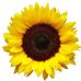 Ann Eldridge - Facebook