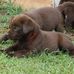 Ann Eley - Facebook