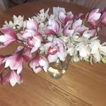 Ann Ellard - @ann.ellard.773 - Instagram