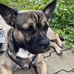 Ann-katrin Eller - Facebook