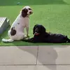 Ann Elliot - @ann.elliot8 - TikTok