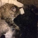 Ann Ellison - @annellison20 - Instagram