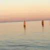 Anne_Nellison - @a_nellison - TikTok