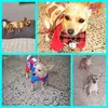 Annel Rod - @annel.rod - TikTok
