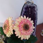 Anne Empson - Facebook