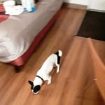 Ann Emsldy - @annemsley3 - Instagram