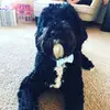 ems - @not.emsley.ann_ - TikTok