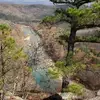 Mary Ann Englehart-Bizarri - @mary.ann.englehar - TikTok