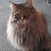 Ann Enright - Facebook