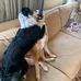 Ann Everetts - Facebook