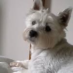 Anne Fallon - @anne.fallon.311 - Instagram