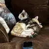 fallonann3 - @fallonann3 - TikTok