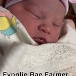 Ann Farmer - @annfarmer2022 - Instagram