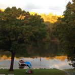 Ann Feltner - Facebook