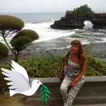 Anne Feltner - @feltneranne - Instagram