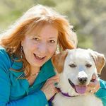 Ann Finley - @finleyann - Instagram