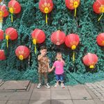Ann Fix - @annfix54gmail.com2 - Instagram