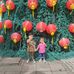 Ann Fix - Facebook