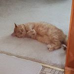 Ann Fix Puckett - @puckettann - Instagram