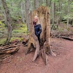 Ann Forbes - @creola.outlander - Instagram