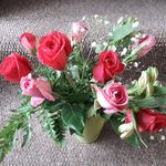 Ann Forbes - @annforbes52 - Instagram