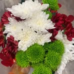 Ann Ford - Facebook