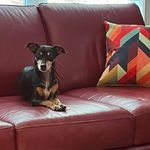 Ann C. Forehand - @forehandann - Instagram