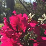 Ann Forehand - @ann_forehand - Instagram
