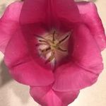 Ann Foreman - @foreman_ann_ - Instagram