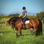 Ann Forman - @annkforman - Instagram