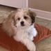 Ann Formanger - Facebook