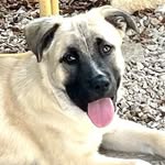 Ann Forney - @busybruce_205 - Instagram