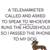 Ann Fortney - @ann.fortney - TikTok