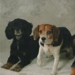 Ann Foxton - Facebook