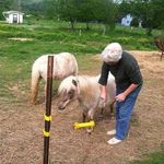 ann fraley - @ann_fraley_19264 - Instagram
