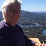 Ann Fraley - @fraleysanimals - Instagram
