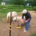 Ann Fraley - Facebook