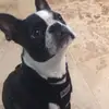 annaframpton517 - @annaframpton517 - TikTok