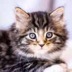 Frances Ann - Facebook