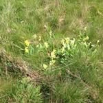 Ann Franks - @franks6835 - Instagram