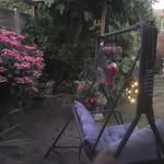 Ann Franks - @annfranks6 - Instagram