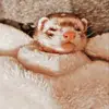Ann Franks - @ann.franks98 - TikTok