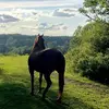 annfransson558 - @annfransson558 - TikTok