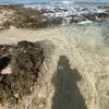 Ichbinsy! - @annfrans2 - TikTok