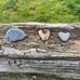 Ann Fraser - Facebook